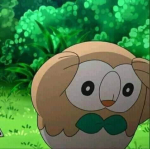 Rowlet angustiado Meme Generator