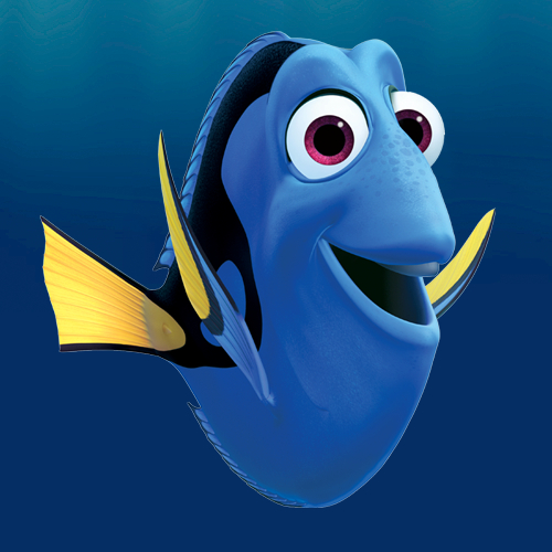 Dory