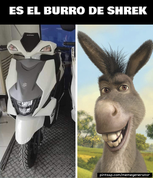 Momolopolis - Ahora son sexis 🐂🐮 #memes #burro Shrek 𝑺𝑯𝑹𝑬𝑲 Shrek 3  burro!!